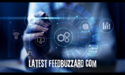 Latest Feedbuzzard.com– All You Need to Know (2025)