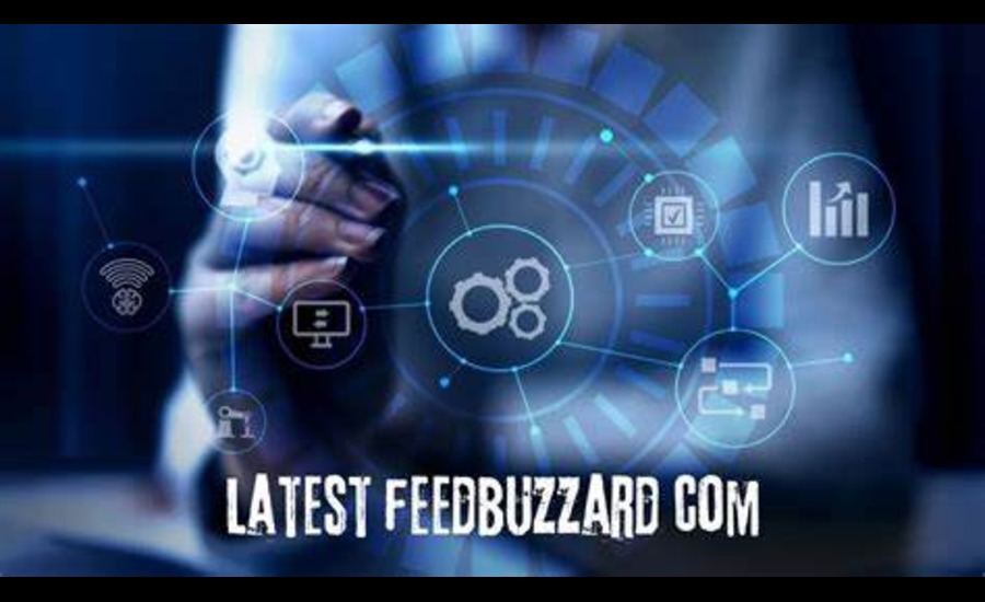 Latest Feedbuzzard.com– All You Need to Know (2025)