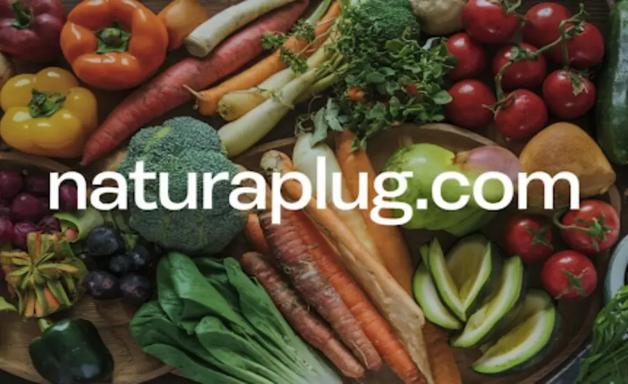 Naturaplug.com Your Source for Sustainable Solutions
