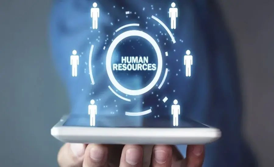 PedroVazPaulo Human Resource Consulting Empowering Organizations through Effective People Management